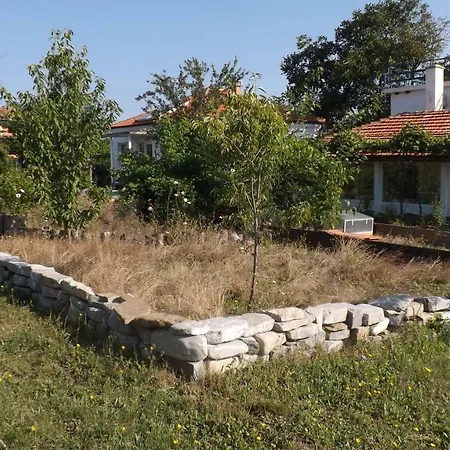 Център За Костенурки