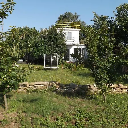 Център За Костенурки * Banya (Burgas)