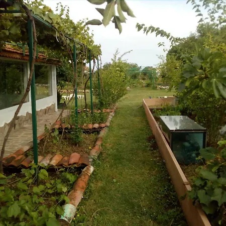 Център За Костенурки Pensionat Banya (Burgas)